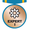 Expert Member I