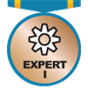 Expert Member I