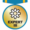 Expert Member III