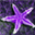 bryaneades@yahoo.com