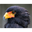 morbee