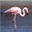 chema_at