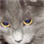 lokesh_v
