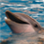 royce_jp