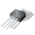burtamus