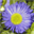baudot