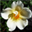 reg_mail