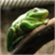 sharkat