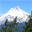 sean_agilecadence