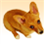 netshadow