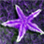 thecaptain0220