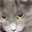 logiclevel14