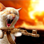 jeff_lusher