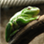 enelson_ngrf