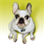 varun_rastogi