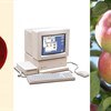 Apple IIgs started life named "Cortland," what does it mean and why did it change?
