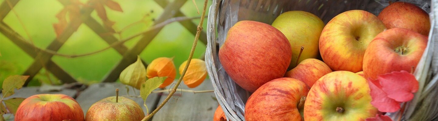 What is CRI (colour rendering index)?