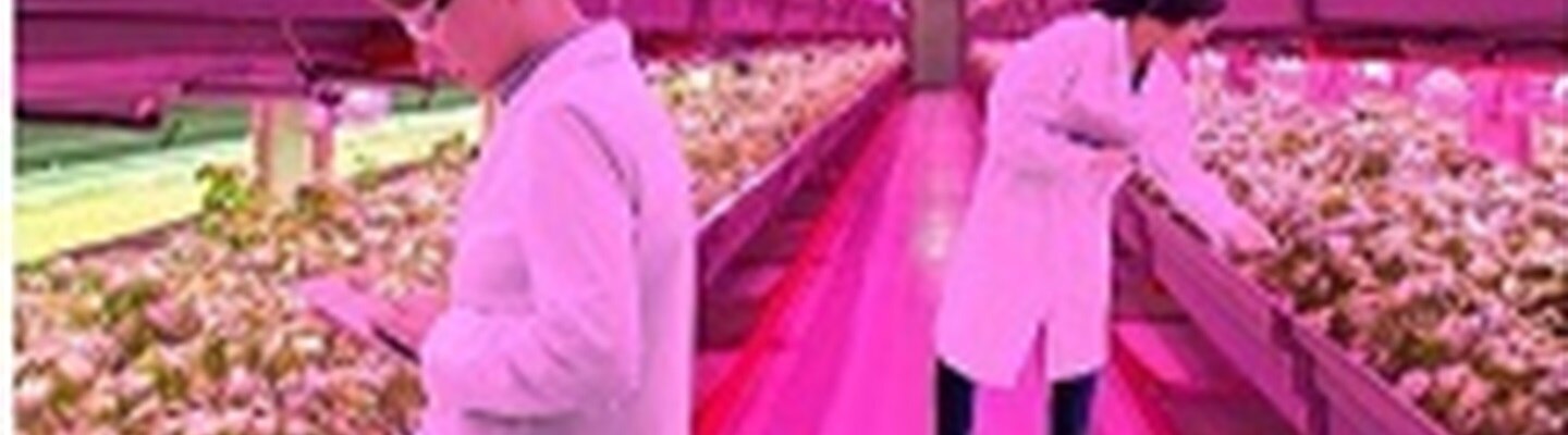 Why use horticultural LED grow lights?