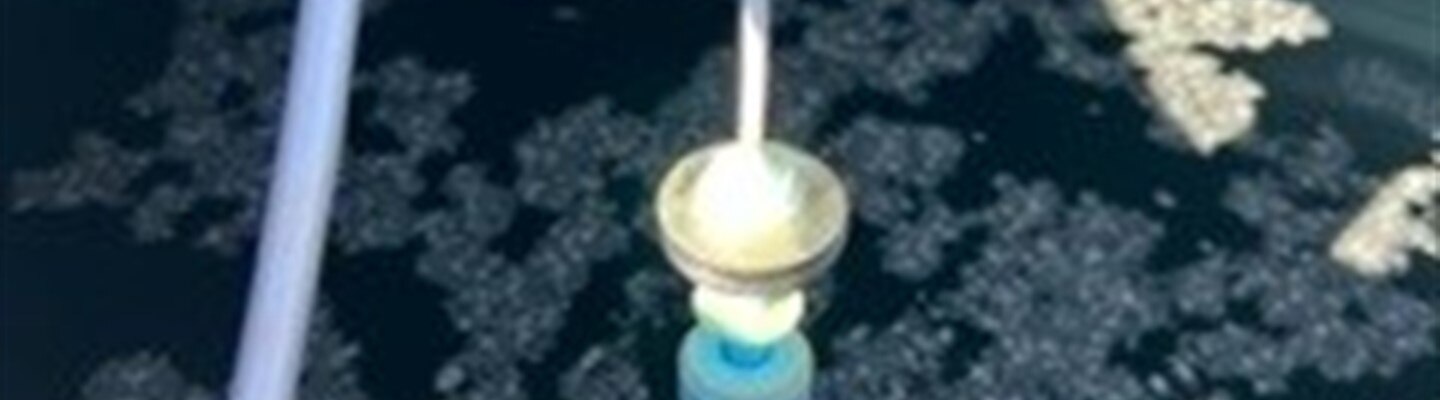 Wonderful Well Saver