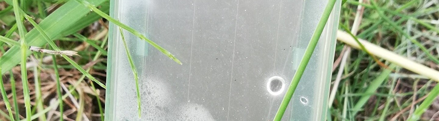 Exploring hidden extremes of sheltered environment - final summary blog