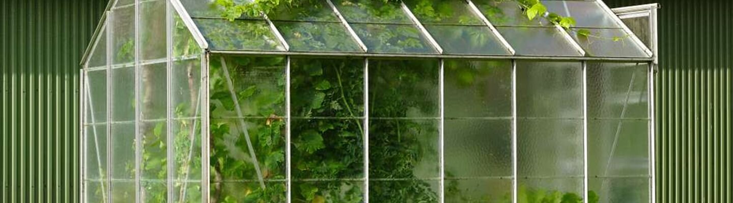 Exploring hidden extremes of sheltered environment - extra blog 4 - greenhouse in the box